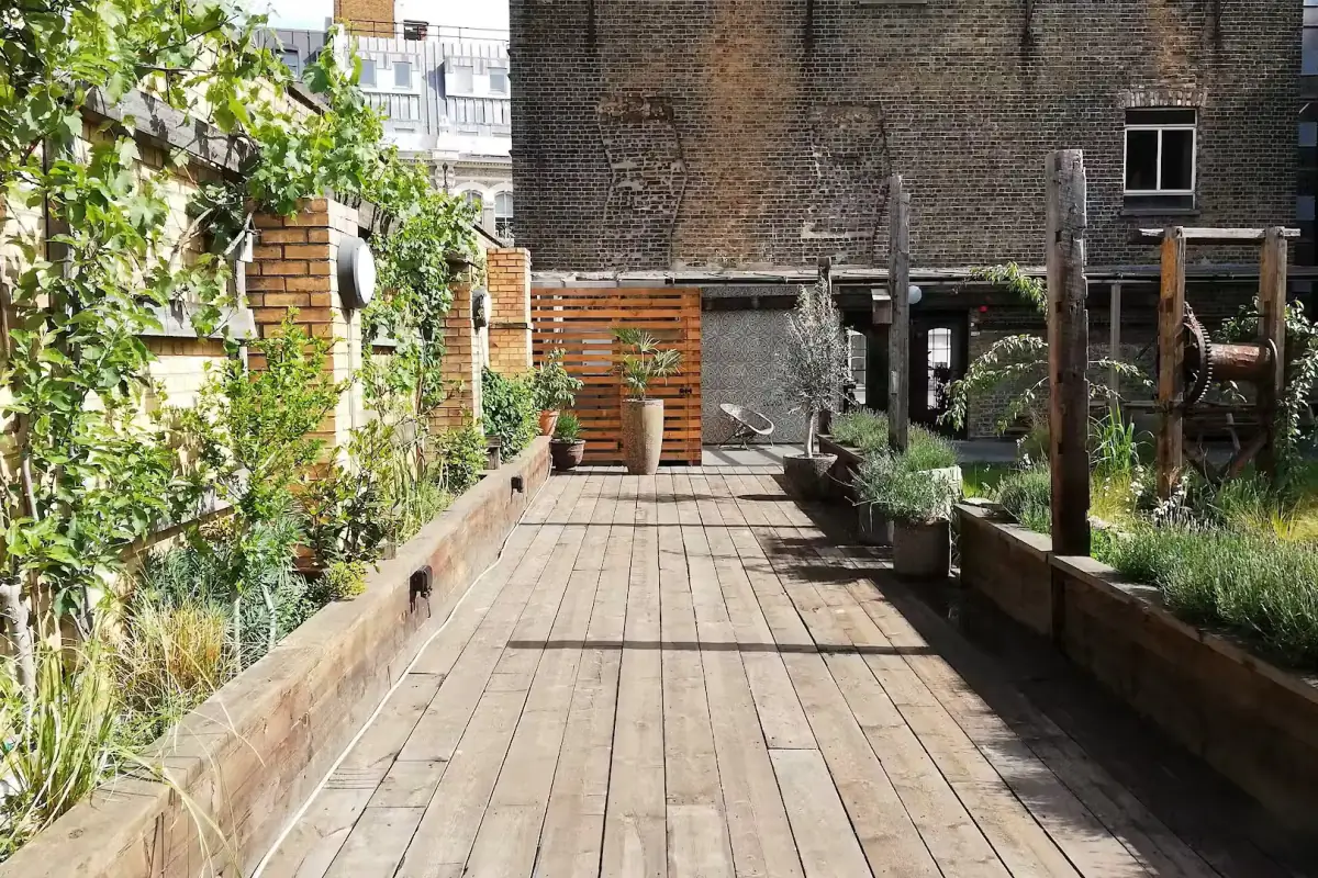 Garden