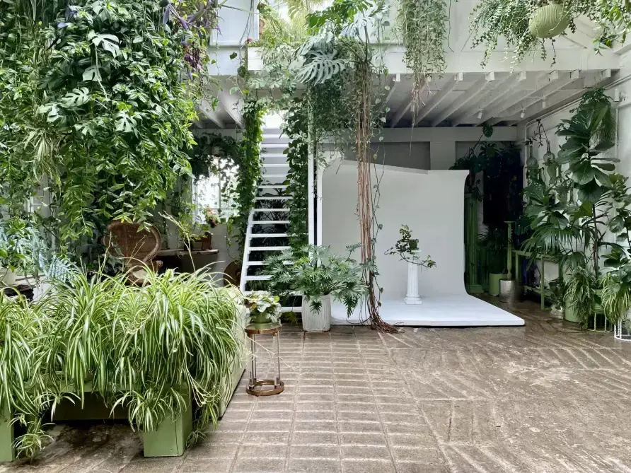 Image 7